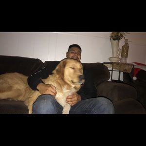 Meet your Posher, Mario